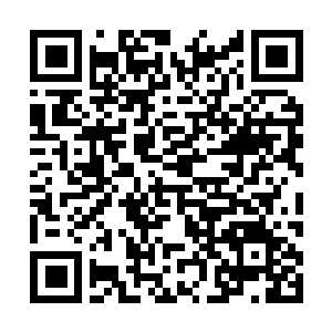Link zu deiner Spendenaktion QRCode - Fundraising