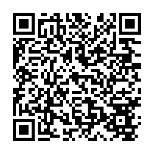 Link zu deiner Spendenaktion QRCode - Fundraising