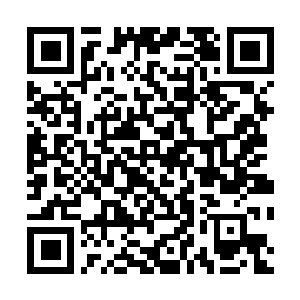 Link zu deiner Spendenaktion QRCode - Fundraising
