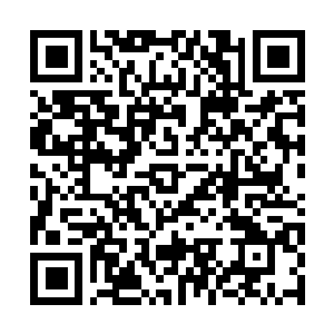 Link zu deiner Spendenaktion QRCode - Fundraising