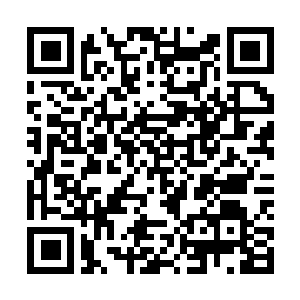 Link zu deiner Spendenaktion QRCode - Fundraising