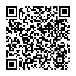 Link zu deiner Spendenaktion QRCode - Fundraising