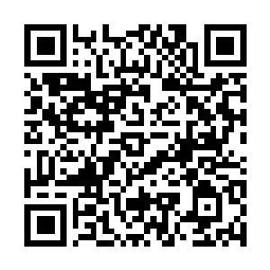 Link zu deiner Spendenaktion QRCode - Fundraising