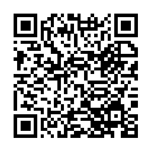 Link zu deiner Spendenaktion QRCode - Fundraising