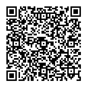 Link zu deiner Spendenaktion QRCode - Fundraising