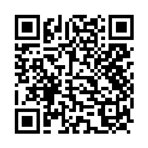 Link zu deiner Spendenaktion QRCode - Fundraising