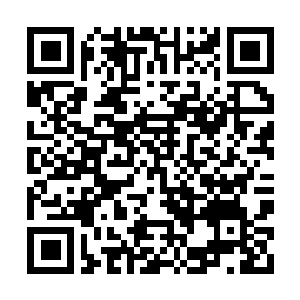Link zu deiner Spendenaktion QRCode - Fundraising