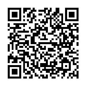 Link zu deiner Spendenaktion QRCode - Fundraising