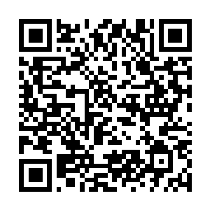 Link zu deiner Spendenaktion QRCode - Fundraising