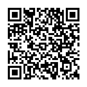 Link zu deiner Spendenaktion QRCode - Fundraising
