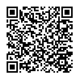 Link zu deiner Spendenaktion QRCode - Fundraising