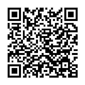 Link zu deiner Spendenaktion QRCode - Fundraising