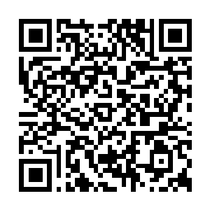 Link zu deiner Spendenaktion QRCode - Fundraising