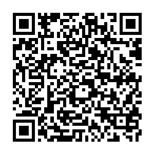 Link zu deiner Spendenaktion QRCode - Fundraising