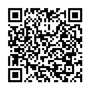 Link zu deiner Spendenaktion QRCode - Fundraising
