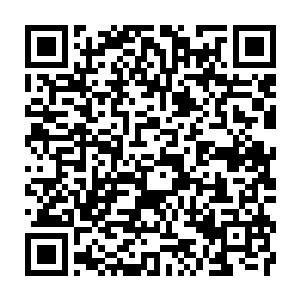 Link zu deiner Spendenaktion QRCode - Fundraising