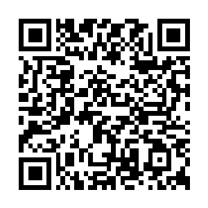 Link zu deiner Spendenaktion QRCode - Fundraising