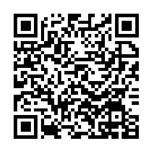Link zu deiner Spendenaktion QRCode - Fundraising