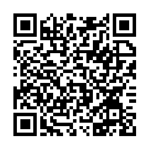 Link zu deiner Spendenaktion QRCode - Fundraising