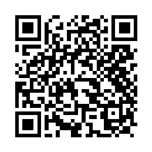 Link zu deiner Spendenaktion QRCode - Fundraising