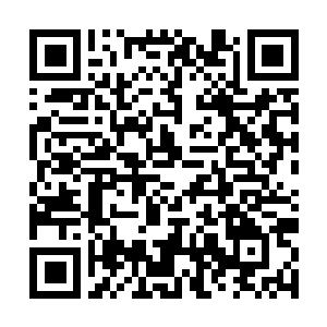 Link zu deiner Spendenaktion QRCode - Fundraising