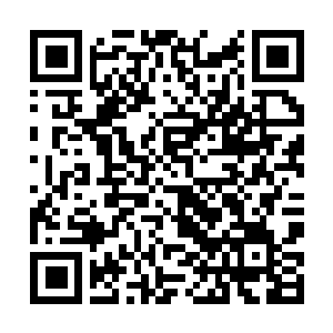 Link zu deiner Spendenaktion QRCode - Fundraising
