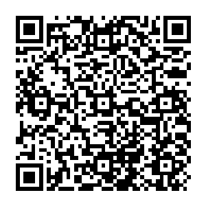 Link zu deiner Spendenaktion QRCode - Fundraising