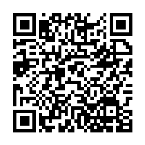 Link zu deiner Spendenaktion QRCode - Fundraising