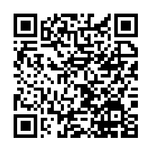 Link zu deiner Spendenaktion QRCode - Fundraising