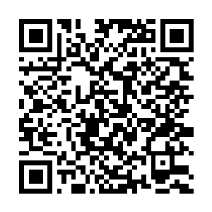Link zu deiner Spendenaktion QRCode - Fundraising