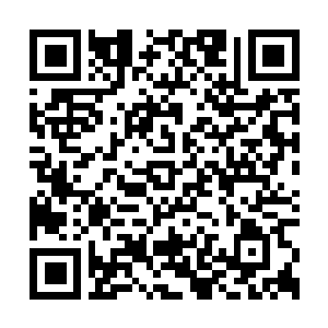 Link zu deiner Spendenaktion QRCode - Fundraising