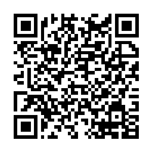 Link zu deiner Spendenaktion QRCode - Fundraising