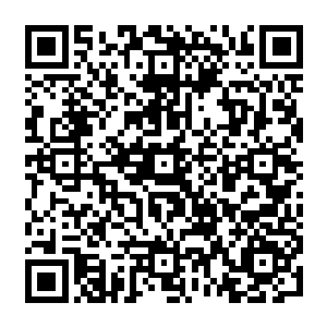 Link zu deiner Spendenaktion QRCode - Fundraising