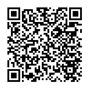 Link zu deiner Spendenaktion QRCode - Fundraising
