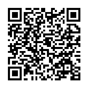 Link zu deiner Spendenaktion QRCode - Fundraising
