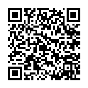 Link zu deiner Spendenaktion QRCode - Fundraising
