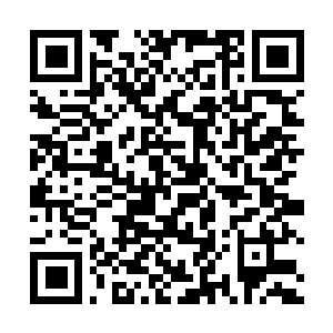 Link zu deiner Spendenaktion QRCode - Fundraising