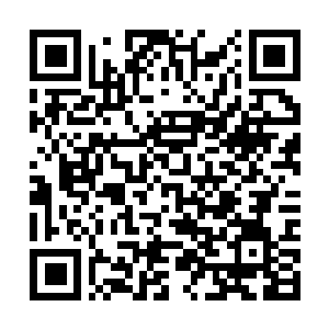 Link zu deiner Spendenaktion QRCode - Fundraising
