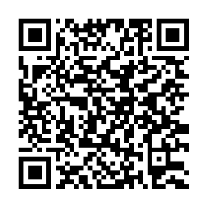 Link zu deiner Spendenaktion QRCode - Fundraising