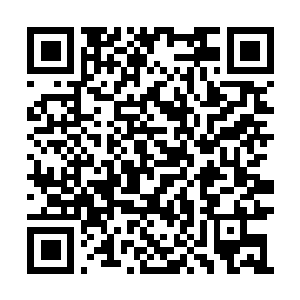 Link zu deiner Spendenaktion QRCode - Fundraising