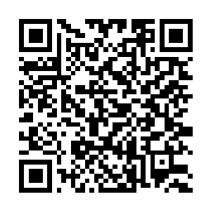 Link zu deiner Spendenaktion QRCode - Fundraising