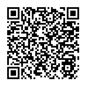 Link zu deiner Spendenaktion QRCode - Fundraising