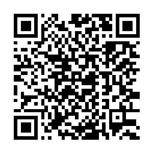 Link zu deiner Spendenaktion QRCode - Fundraising