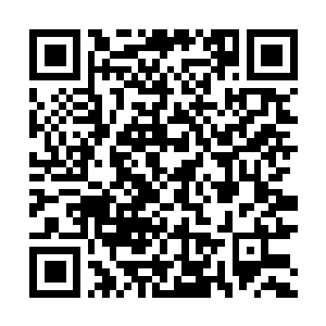 Link zu deiner Spendenaktion QRCode - Fundraising