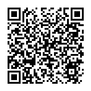 Link zu deiner Spendenaktion QRCode - Fundraising