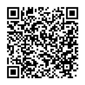 Link zu deiner Spendenaktion QRCode - Fundraising