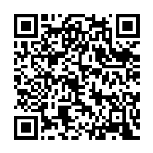 Link zu deiner Spendenaktion QRCode - Fundraising