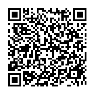 Link zu deiner Spendenaktion QRCode - Fundraising