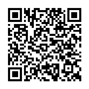 Link zu deiner Spendenaktion QRCode - Fundraising