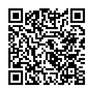 Link zu deiner Spendenaktion QRCode - Fundraising